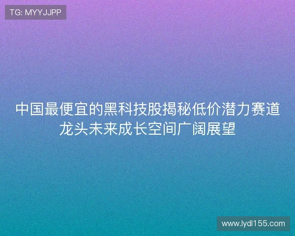 中国最便宜的黑科技股揭秘低价潜力赛道龙头未来成长空间广阔展望